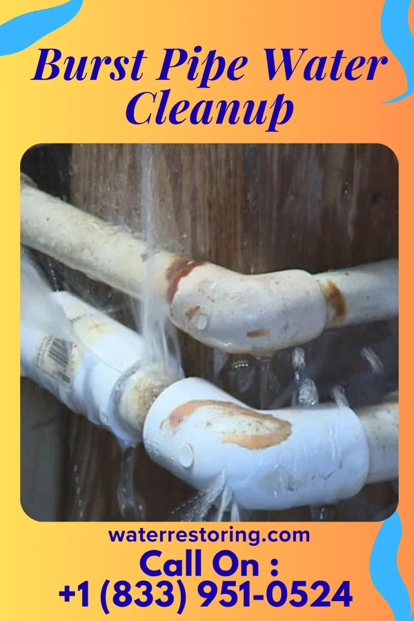 Burst Pipe Water Cleanup in Camden-on-Gauley, WV