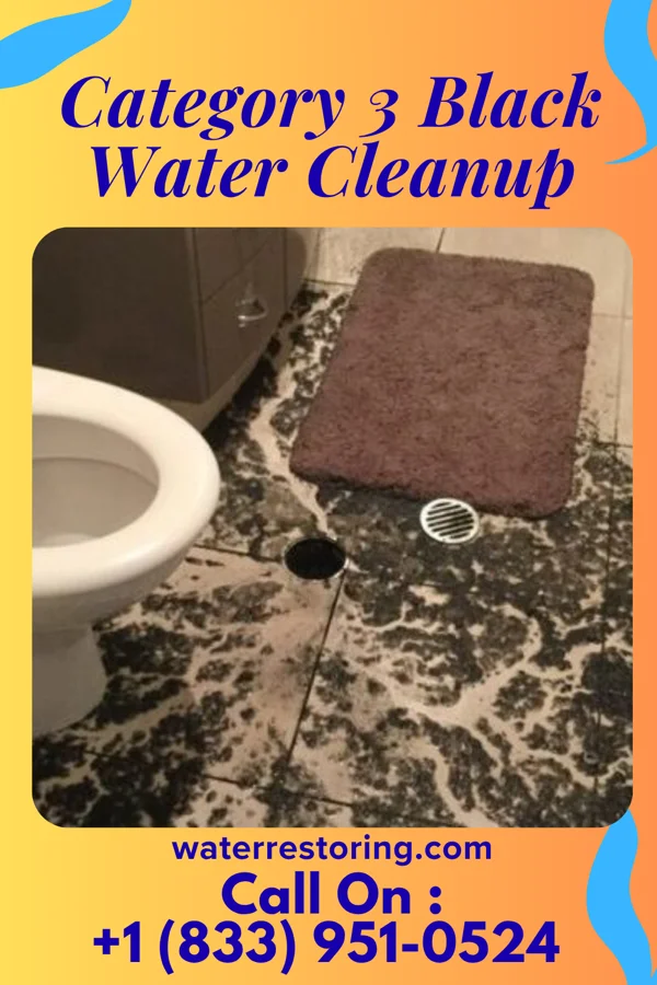 Category 3 Black Water Cleanup in Camden-on-Gauley, WV
