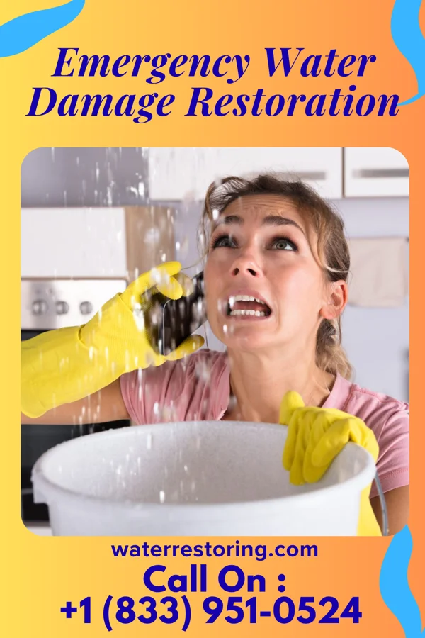 Emergency Water Damage Restoration in Camden-on-Gauley, WV