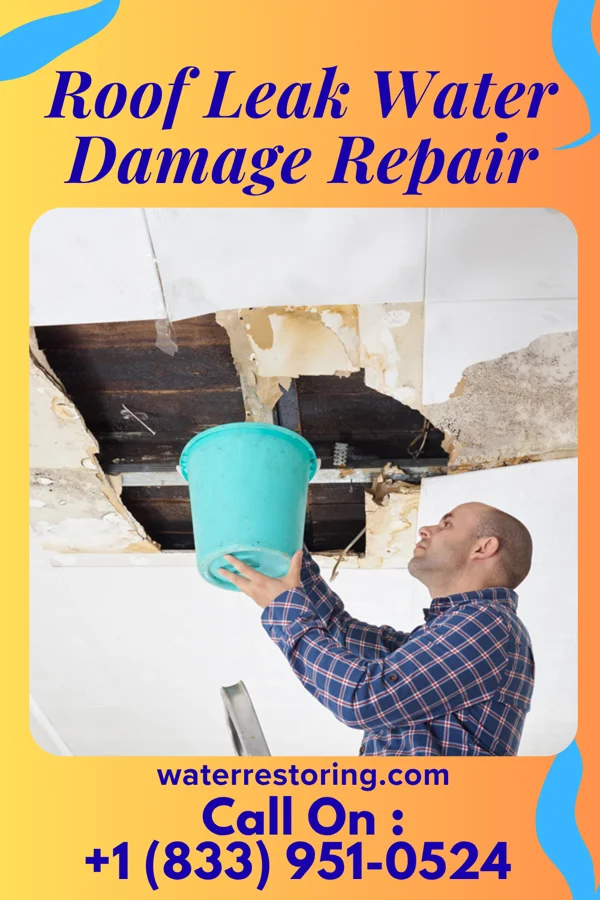 Roof Leak Water Damage Repair in Camden-on-Gauley, WV