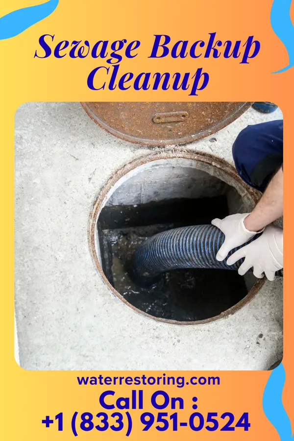 Sewage Backup Cleanup in Camden-on-Gauley, WV