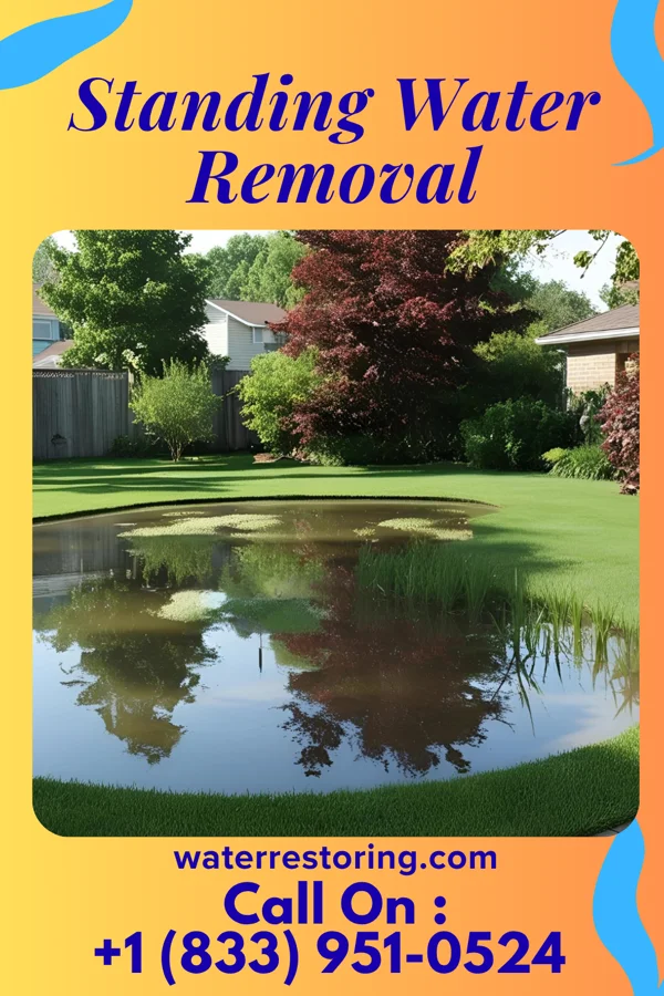 Standing Water Removal in Camden-on-Gauley, WV